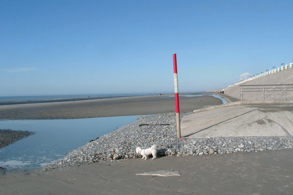 le sable piégé par le système Ecoplage®, a joué son rôle de tampon face ?  l’agression de la mer. Il est ?  contrôler, le renouvellement  de cet apport tampon de sable au pied de la Digue promenade de Quend Plage.